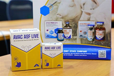 asf vaccine|DA: All systems go for 1st PH gov’t.